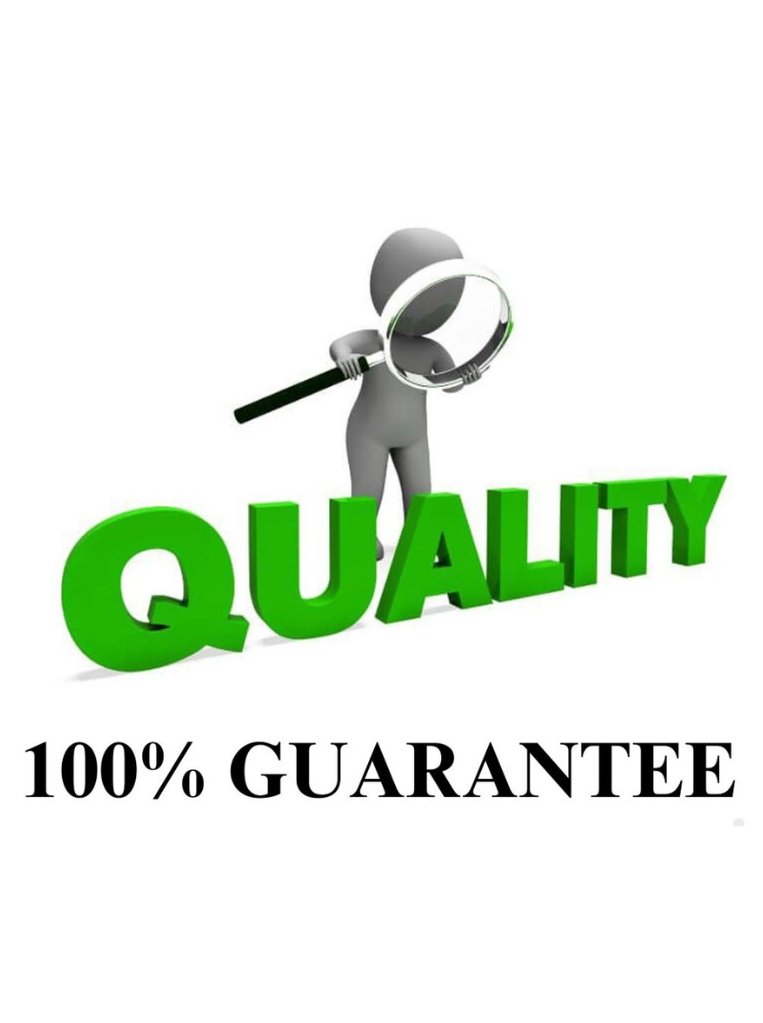 100 percent quality guarantee icon